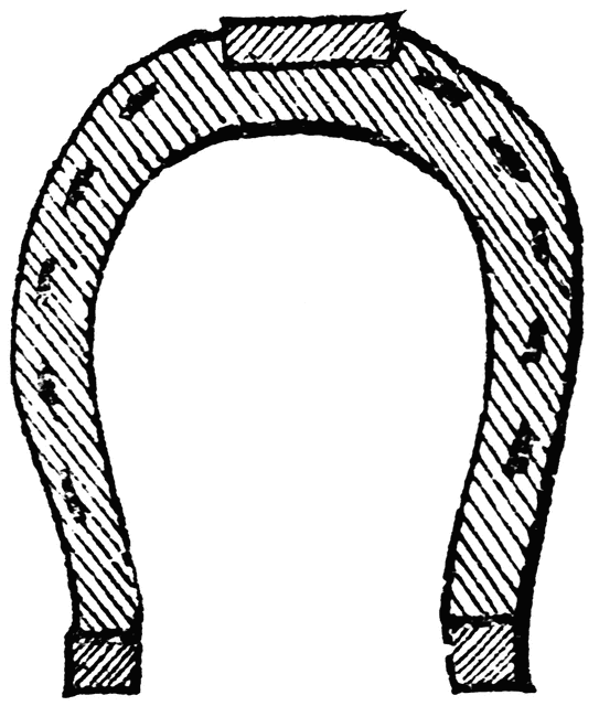 543x640 Horseshoe Clipart Etc