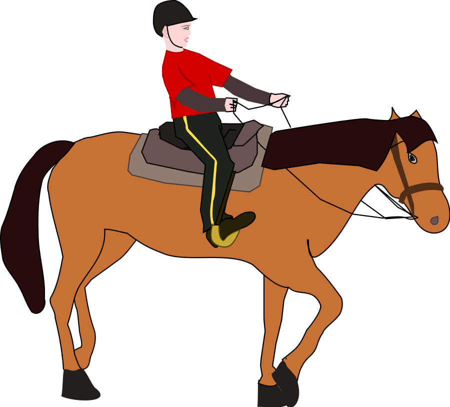 900x814 Best Horse Riding Clipart