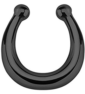 Horseshoe Clip