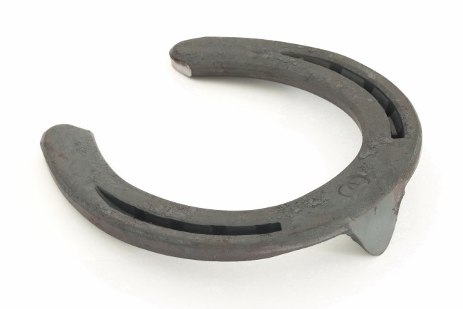650x434 Werkman Horseshoes