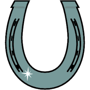 300x300 Horse Shoe Horseshoe Clipart Wikiclipart