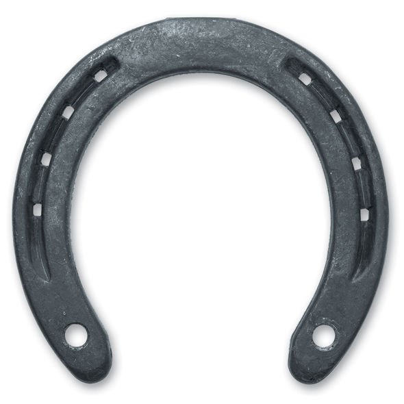 590x590 Horseshoes