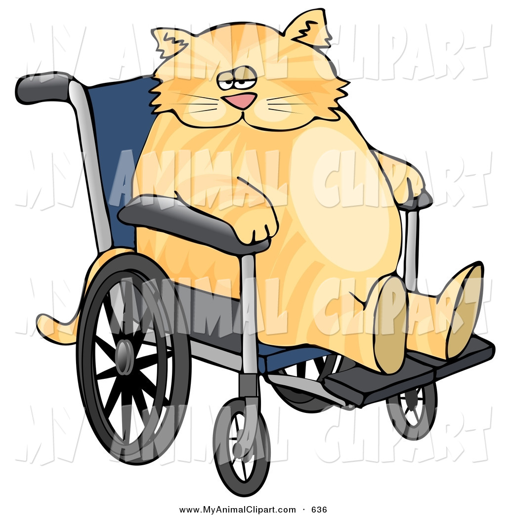 1024x1044 Cliprt Of Chubby Ginger Cat Sitting In Wheelchair In