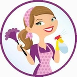 250x250 House Cleaning