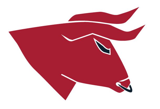 610x415 Bull Clipart Houston Texans