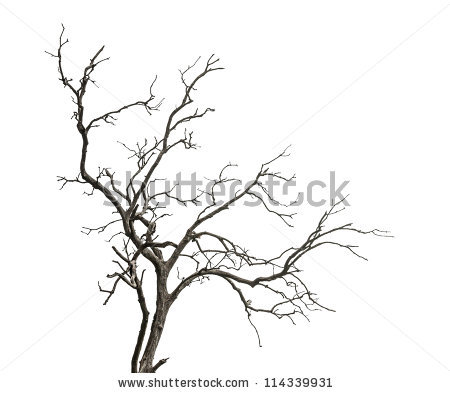 450x393 Drawn Tree Dead Tree