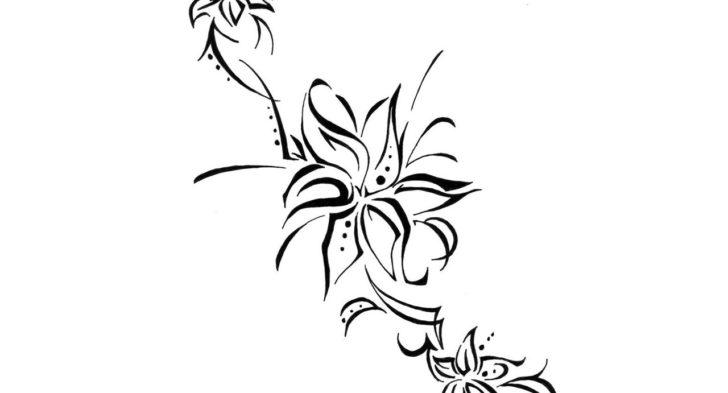 How To Draw A Hawaiian Flower | Free download on ClipArtMag