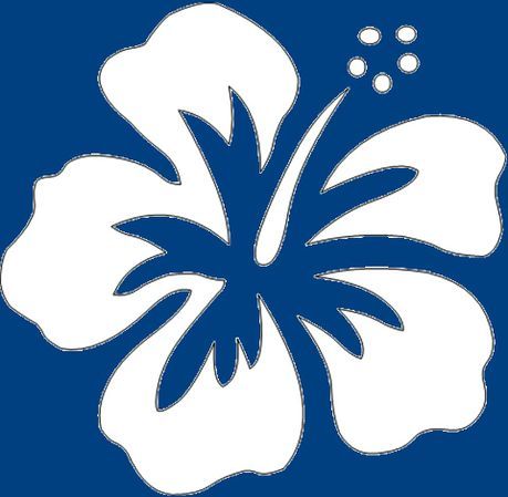 459x449 22 Best Hawaiian Props Images Adhesive, Colors