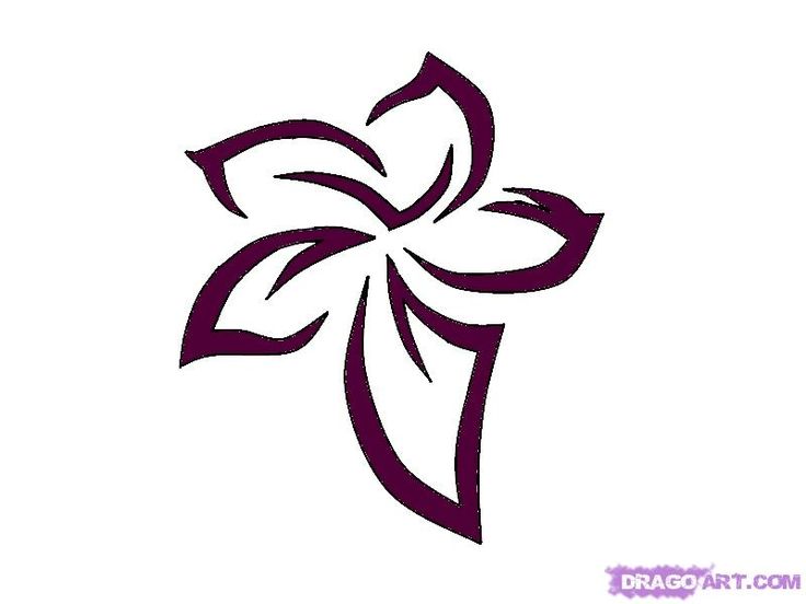 736x552 The Best Hawaiian Flower Drawing Ideas Hibiscus
