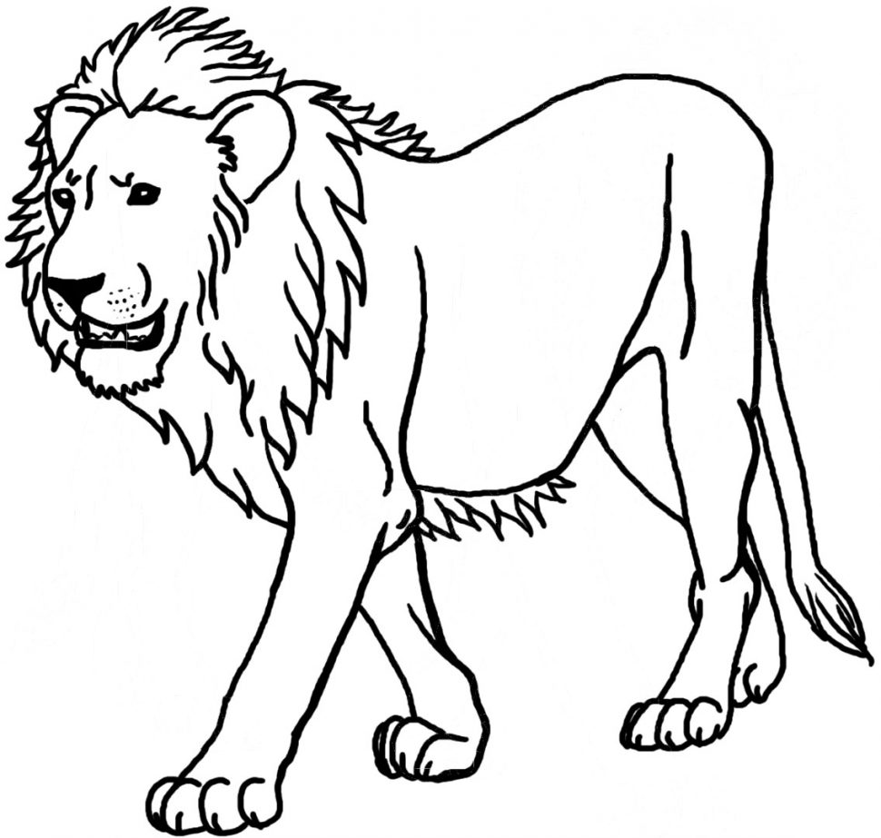 970x923 Coloring Pages Graceful Coloring Pages Draw A Lion For Kids