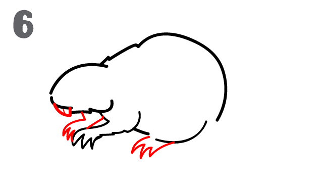 642x362 How To Draw A Beaver