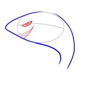 291x302 How To Draw How To Draw A Shark For Kids