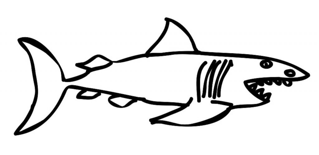 1024x497 Simple Drawing Of A Shark How To Draw A Cool Shark Step Step Sea
