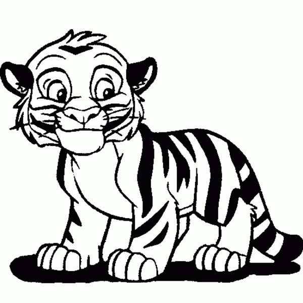 600x600 Drawn White Tiger Cute
