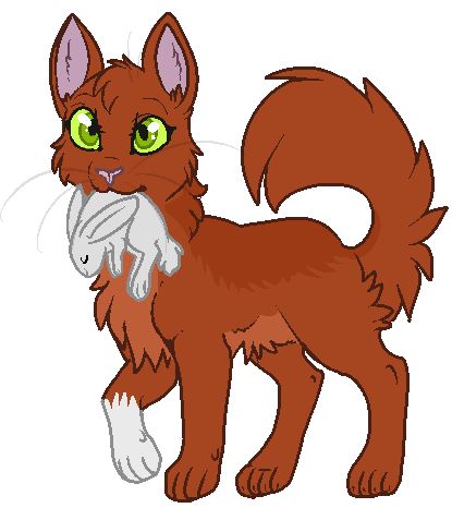 415x466 Best How To Draw Cats Ideas Drawing People, Cat