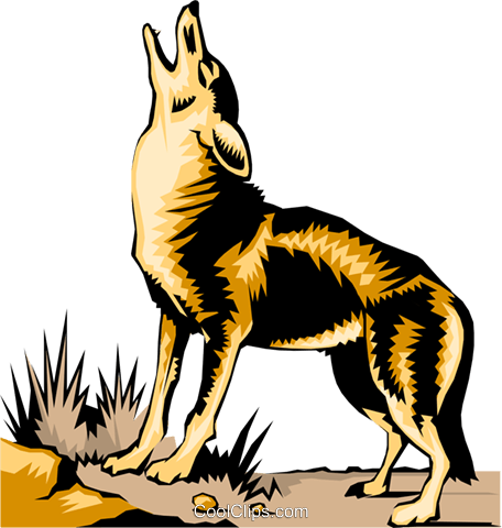 456x480 Coyote Clipart Realistic