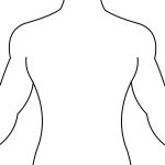 150x150 Template Human Body Outline Template