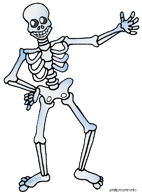 476x648 Bones Clipart Human Bone