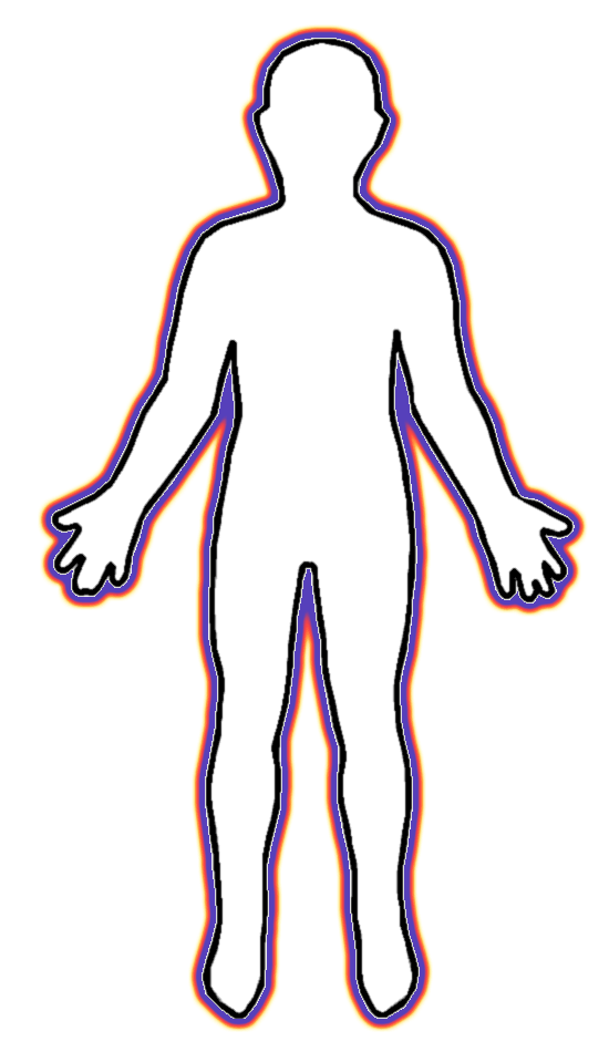 550x950 Bones Clipart Human Body