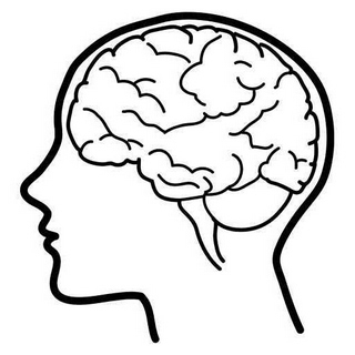 320x320 Free Brain Clip Art Pictures