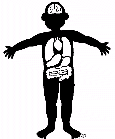 402x484 Human Body Cartoon Clipart