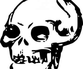 336x280 Human Ear Clip Art Vector Clip Art Free Vector Free Download