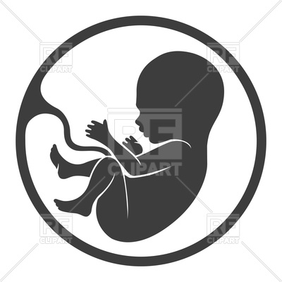 400x400 Fetus Icon, Prenatal Human Child With Placenta Royalty Free Vector