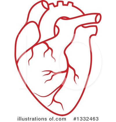 400x420 Lovely Human Heart Clipart