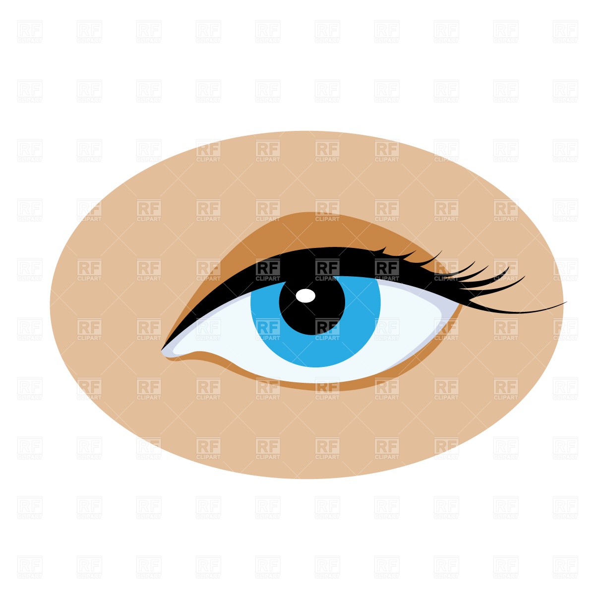 1200x1200 Opened Human Eye Free Vector Clip Art Image