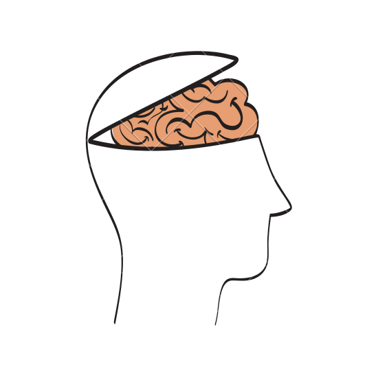 550x550 Human Head And Brain Outline