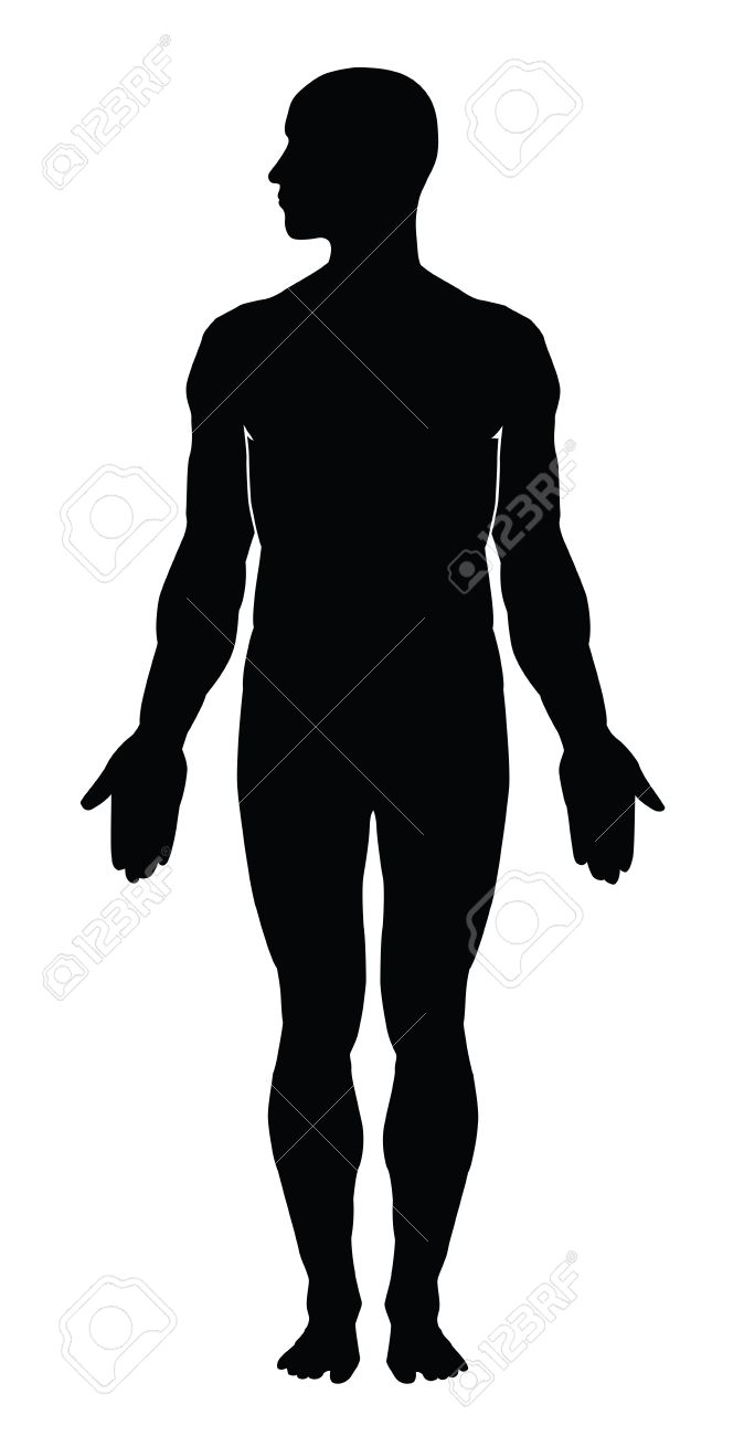 674x1300 Human Body Muscle Outline Hd