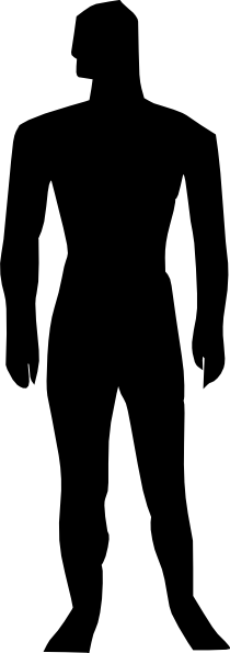 210x595 Human Figure Clipart