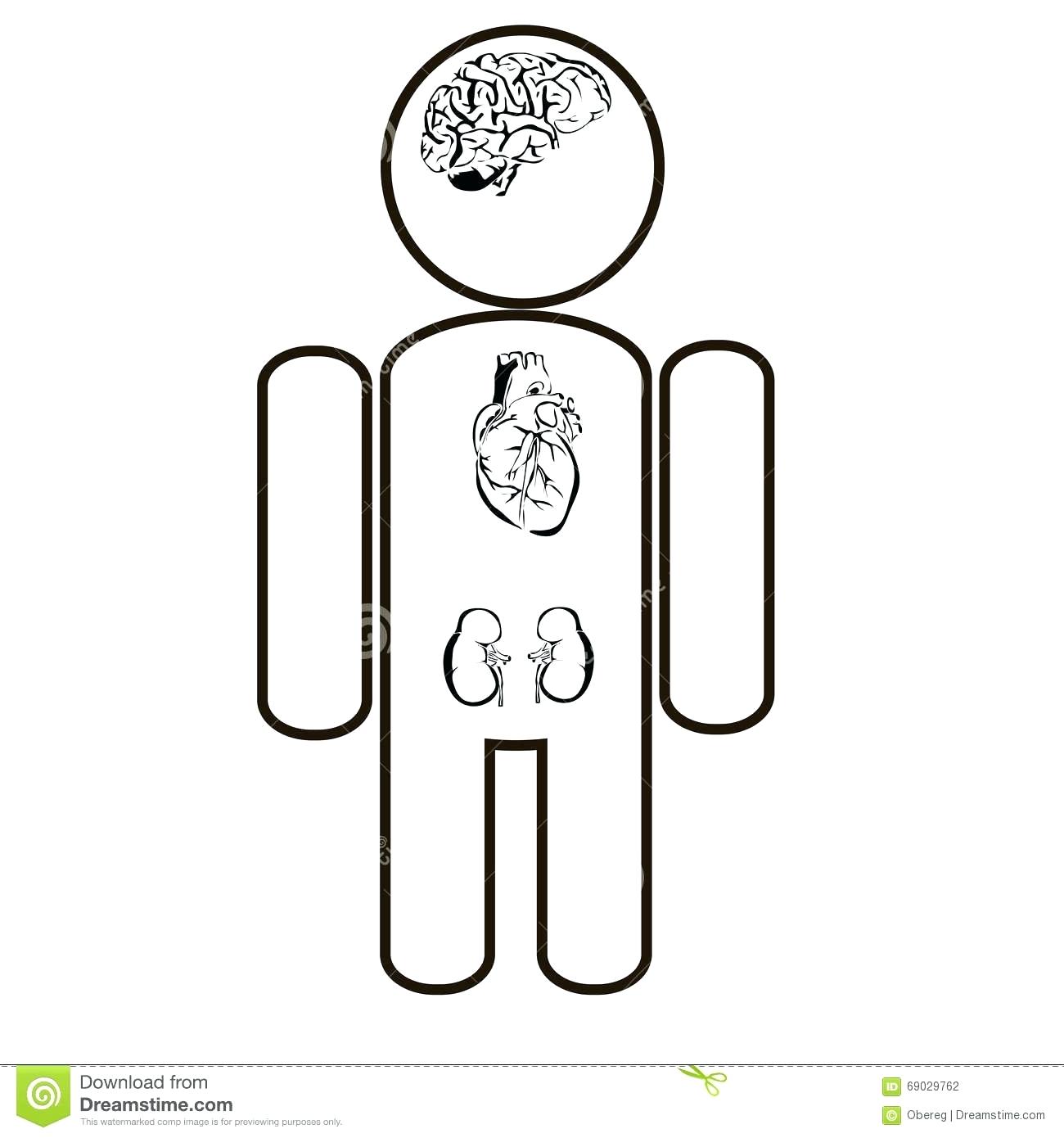 1300x1390 Coloring Pages Glamorous Human Outline. Human Hand Outline Image