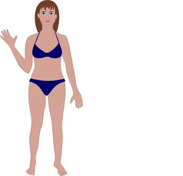 600x577 Female Human Body Clip Art