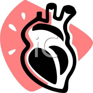 300x300 Human Heart Clip Art Image