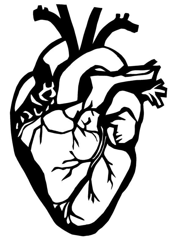 Human Heart Clipart Black And White