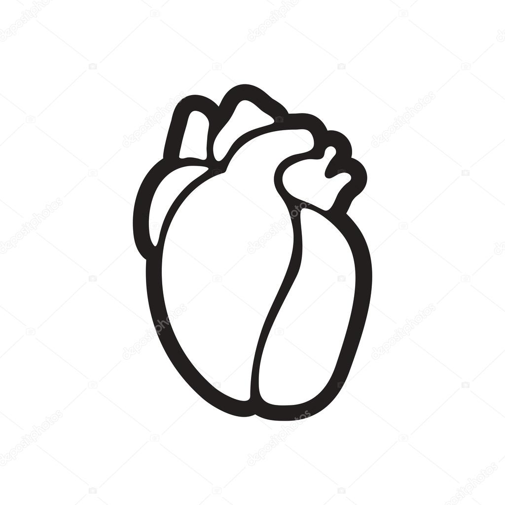1024x1024 Stylish Black And White Icon Human Heart Stock Vector Gorovits