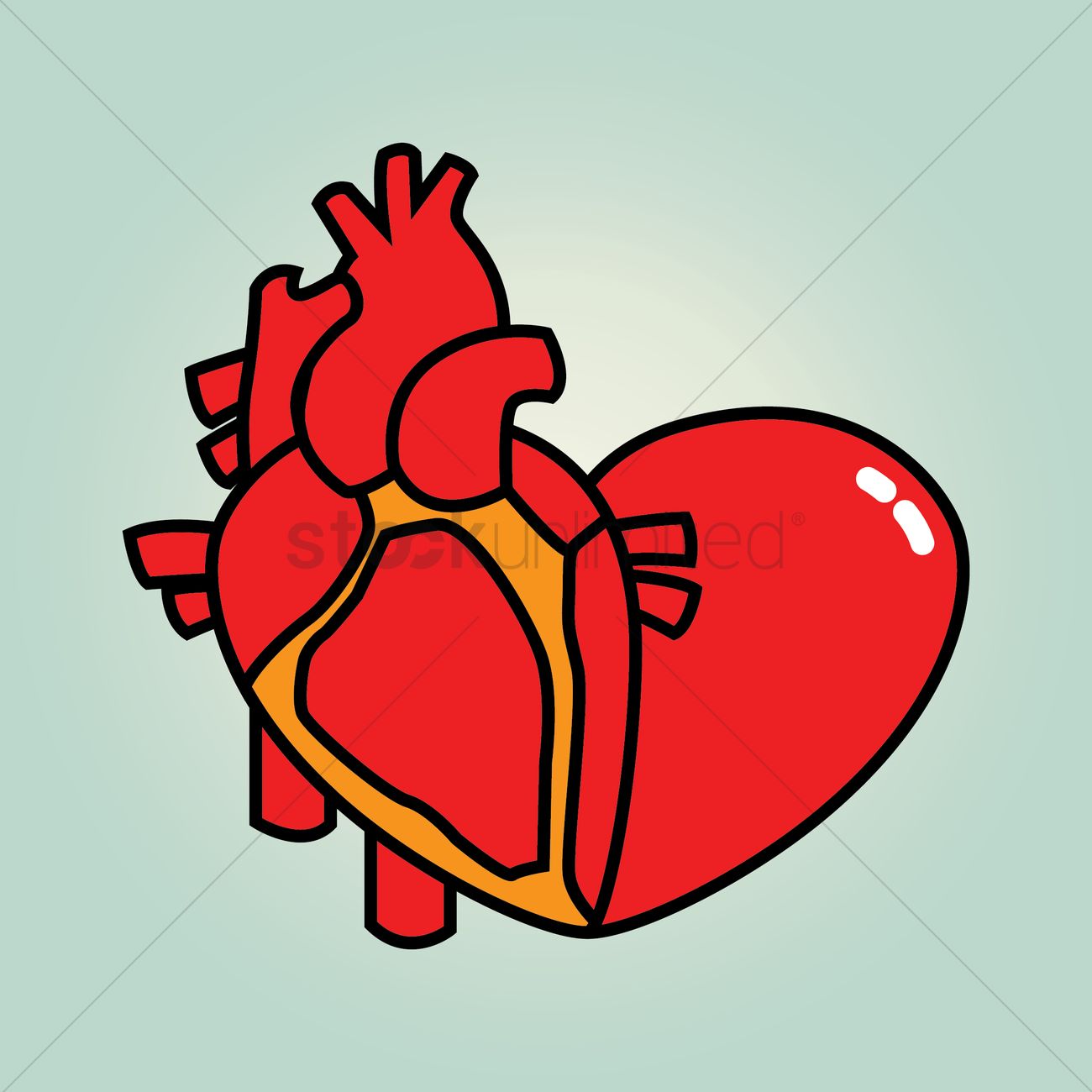 1300x1300 Human Heart Vector Image