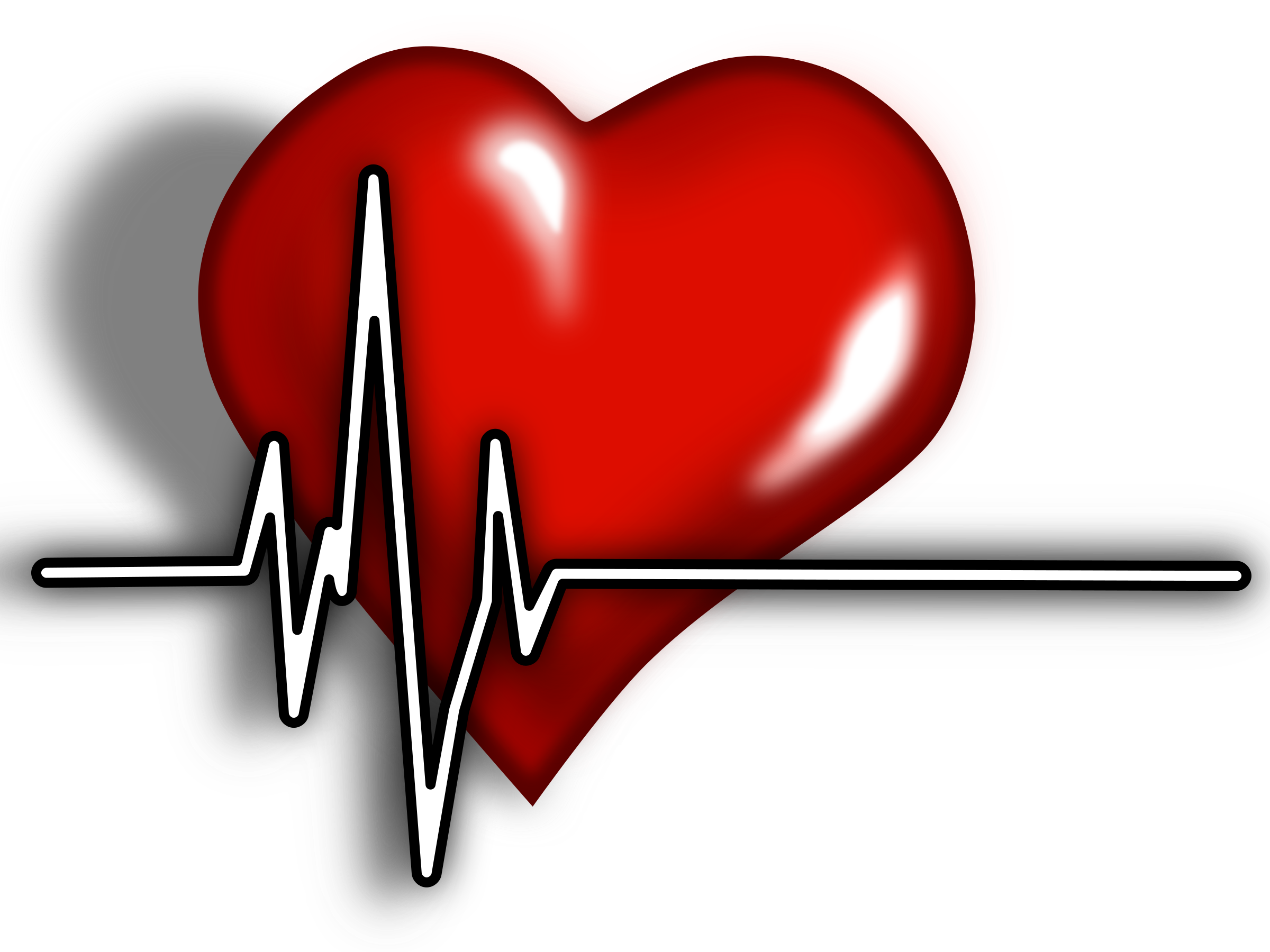 2400x1800 Human Heart Clipart Wallpapers Full Hd Emergency And Safety
