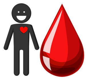 300x278 Diagram Showing Blood Flow In Human Heart Illustration Royalty