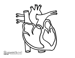 250x193 Heart Clipart