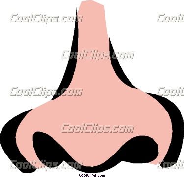 Human Nose Clipart For Kids