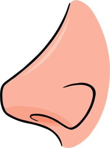 Human Nose Clipart For Kids | Free download on ClipArtMag