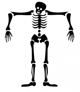 259x300 Skeletons Clip Art Download