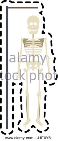 194x470 Human Skeleton Icon Image, Vector Illustration Design Stock Vector