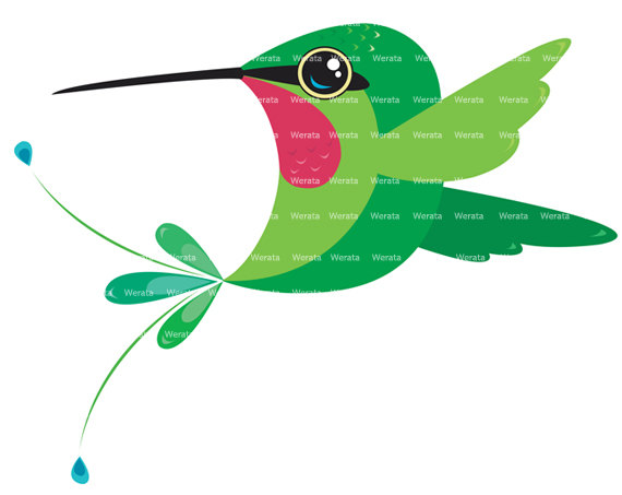 570x453 Hummingbird Clip Art Love This Sweet Bird Illustration It'An