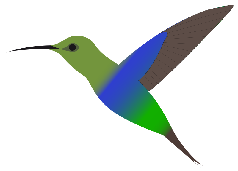 800x577 Hummingbird Clipart 3
