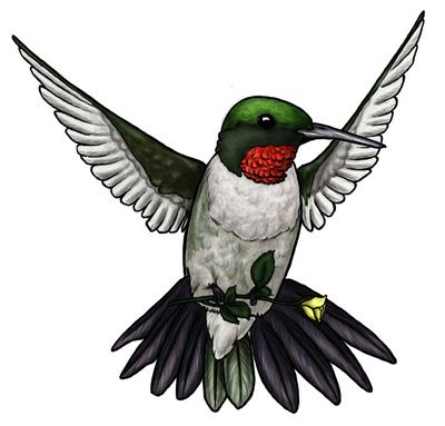 400x383 Hummingbird Clipart Images On 2