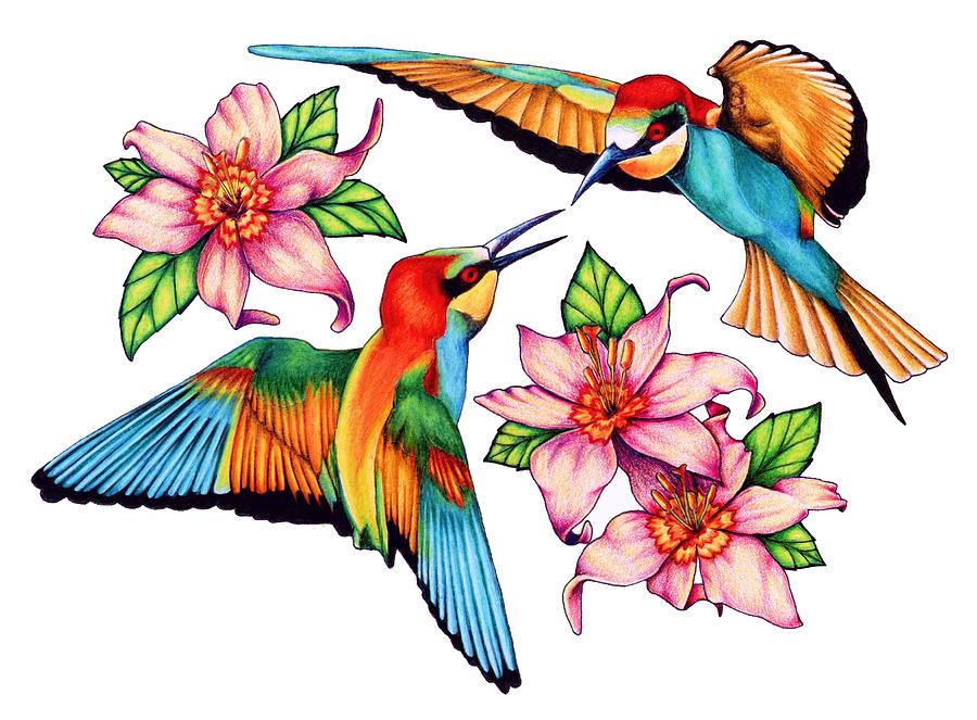 900x663 Hummingbird Graphics