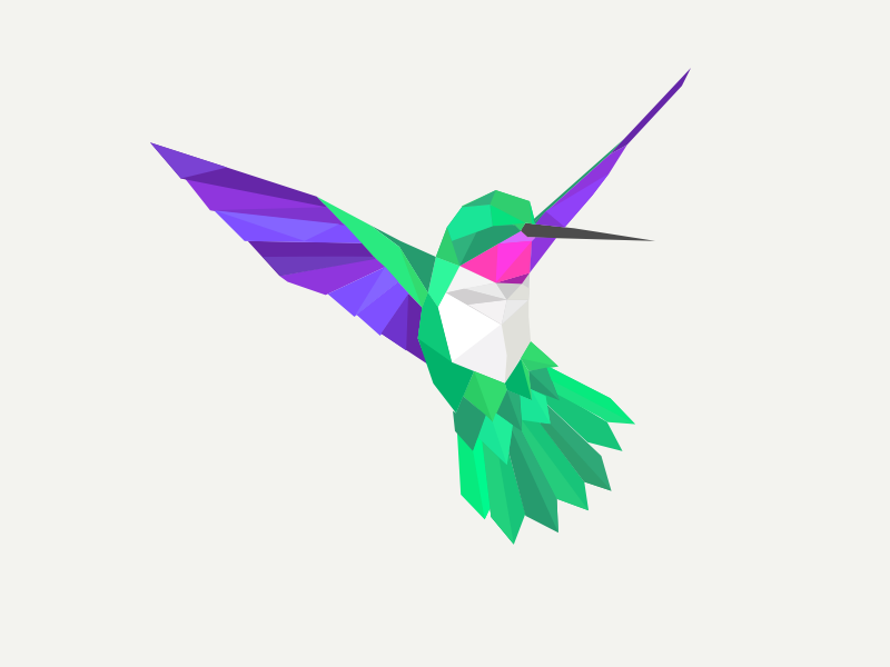 800x600 Hummingbird Update By Jared Trotter